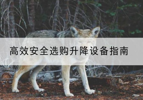 游仙升降货梯厂家推荐-*安全选购升降设备指南