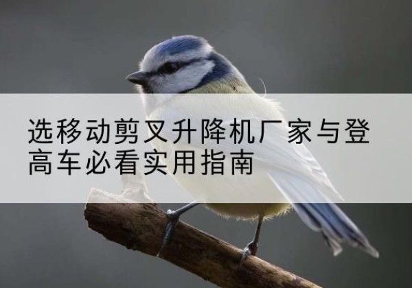 游仙电动升降机厂家-选移动剪叉升降机厂家与登高车必看实用指南